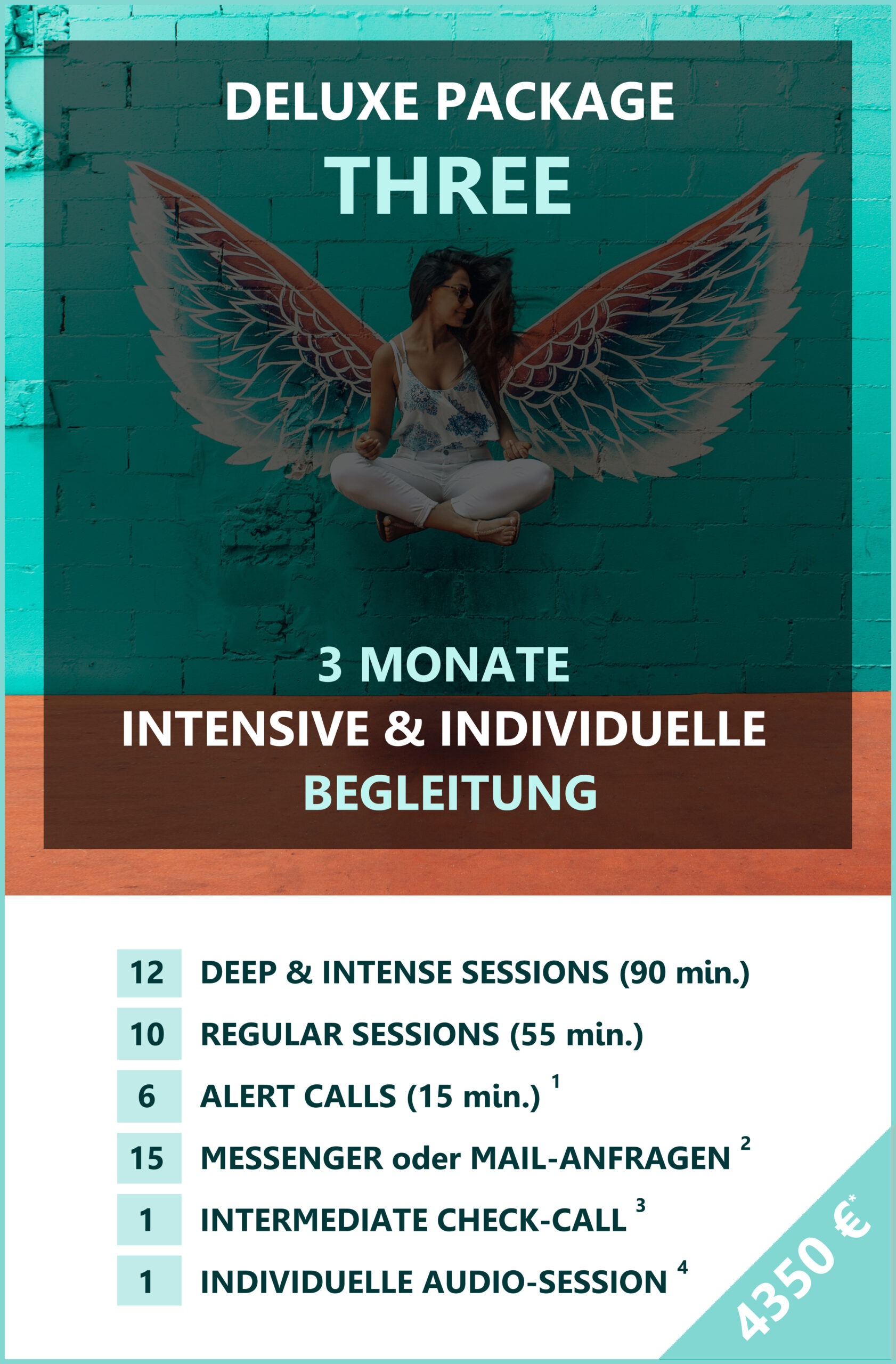 Deluxe Coaching individuell