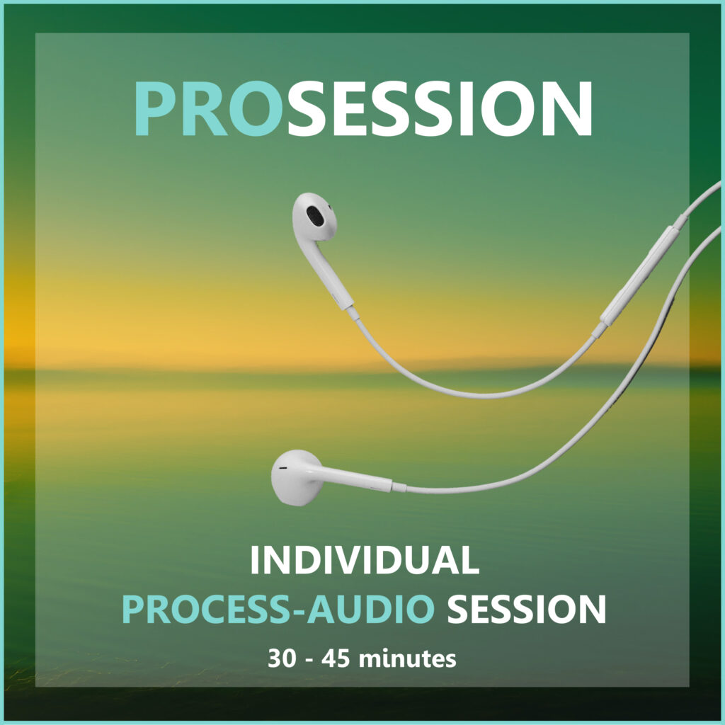 audio pro session tool