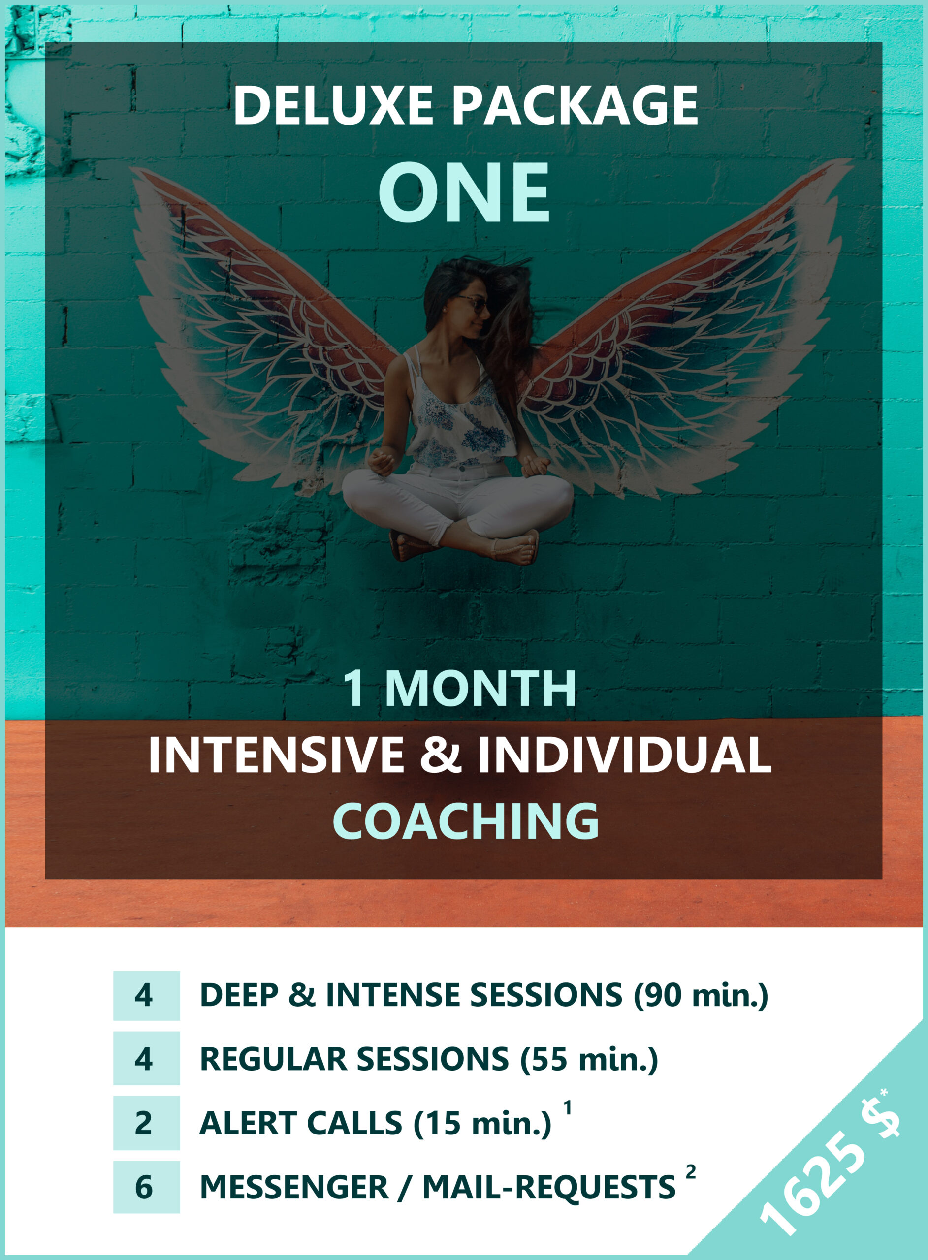 deluxe coaching 1