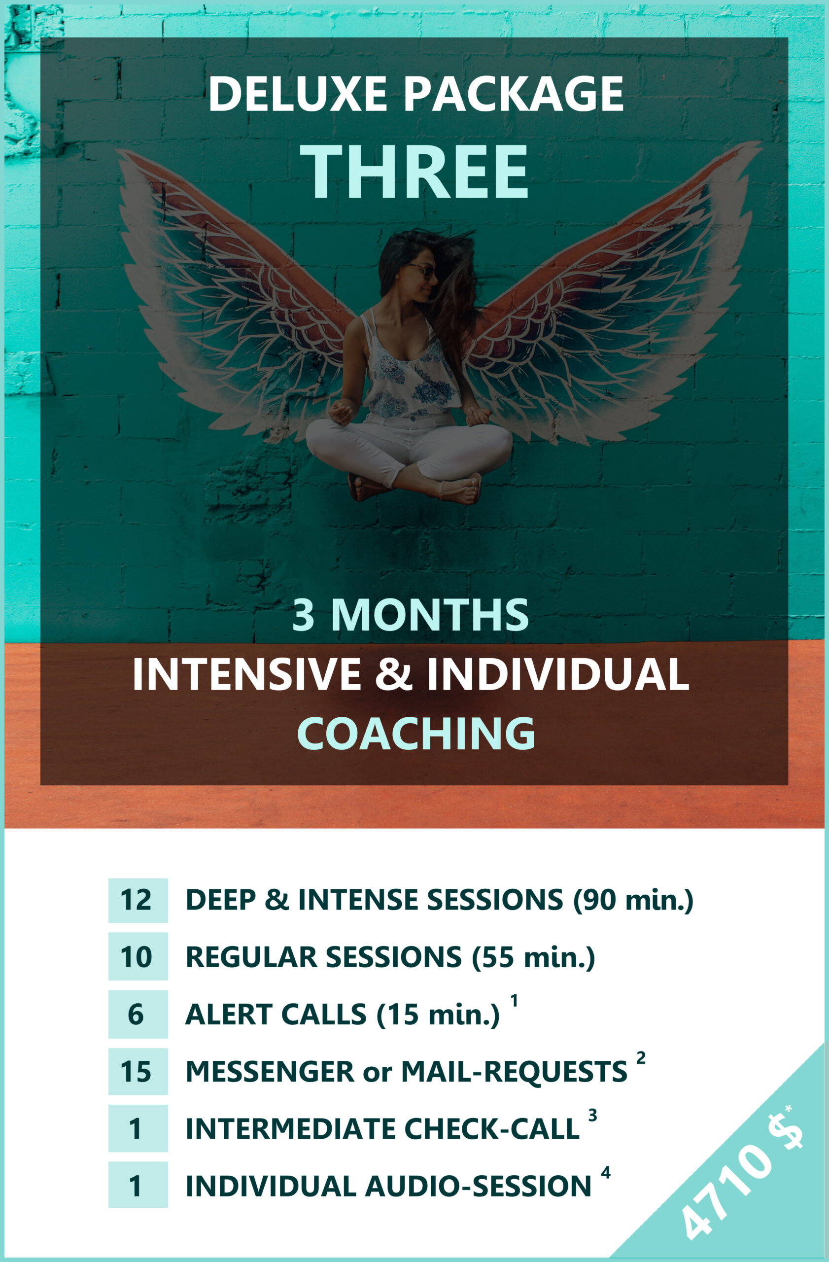 deluxe coaching 3